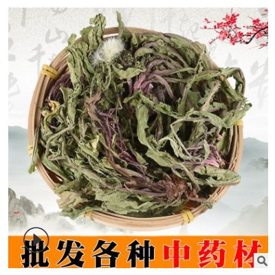 批发现货 蒲公英 整颗 老兵诚信中药材一站式批发 按方抓药 花茶